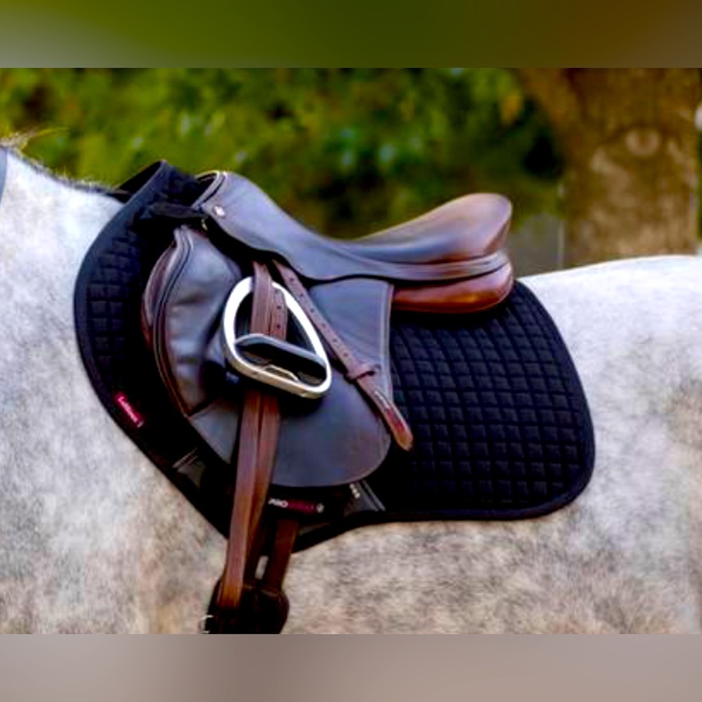 Lemieux cc pad in black 🌑